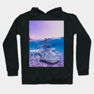 Steel Coast Hoodie